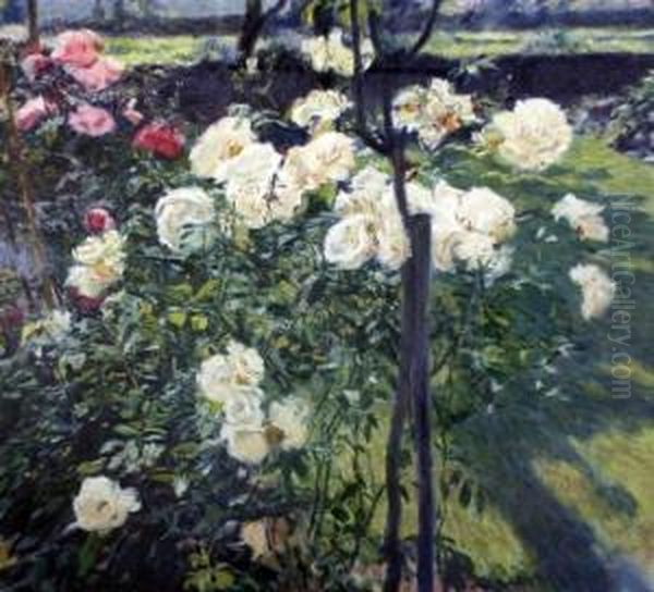 Roses In A Garden Oil Painting by W. Saunders