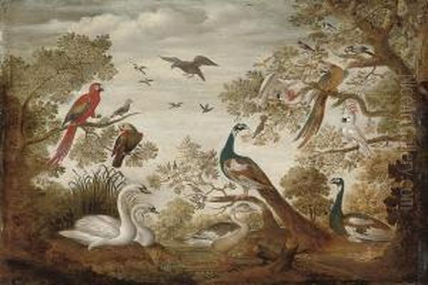 Swans, Peacocks, Parrots, A Cockatoo, A Goose And Other Birds In Alandscape Oil Painting by Tobias van Haecht (see Verhaecht)