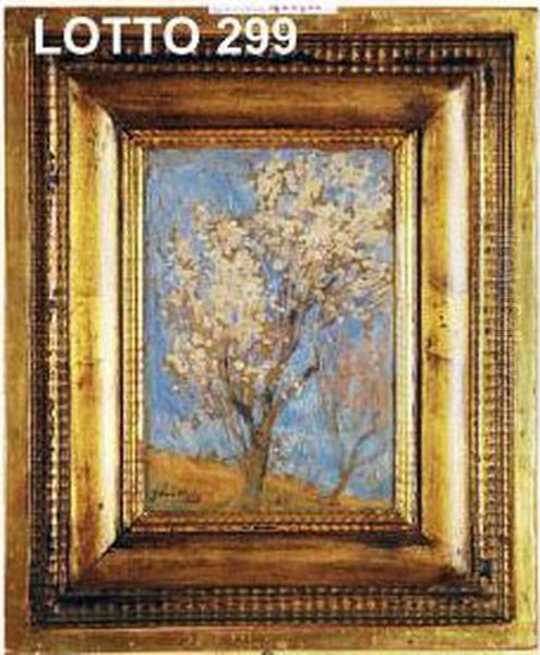 Albero Fiorito Oil Painting by Ferruccio Scattola