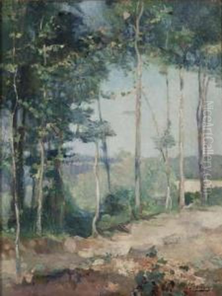 Sentiero Tra Gli Alberi Oil Painting by Ferruccio Scattola