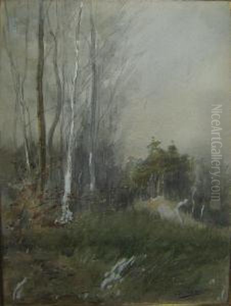 Bosgezicht. Oil Painting by Leo Schaeken