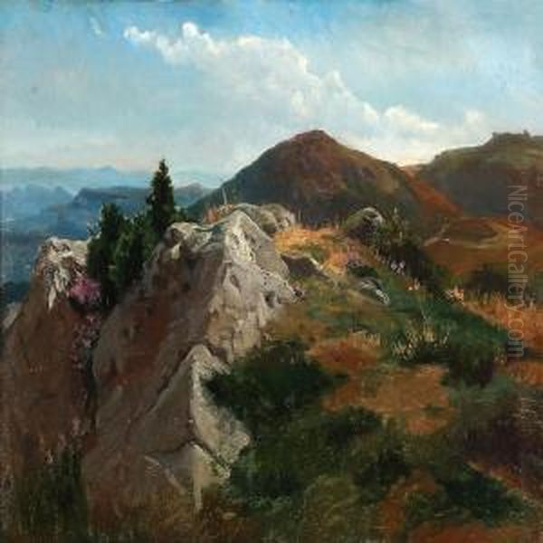 View Of A Hilly Landscape In Sunshine Oil Painting by August Friedrich Schenck