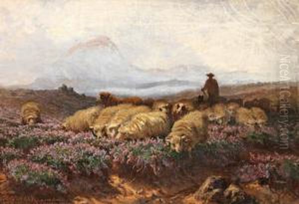 Les Moutons Dans La Bruyere Oil Painting by Auguste Schenk