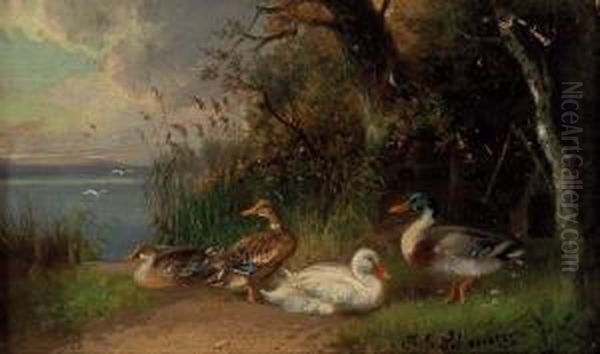 Enten Am See Oil Painting by Julius Scheurer