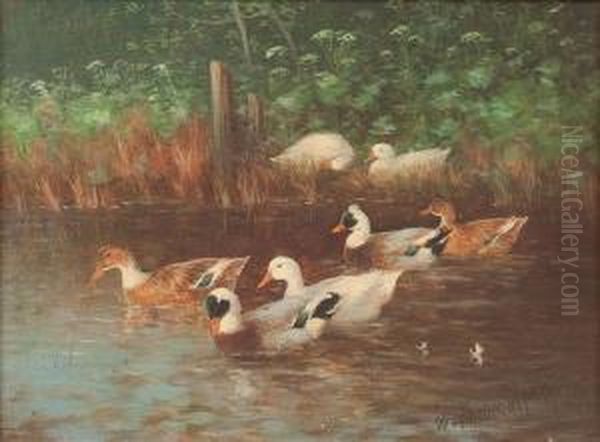 Entengruppe Auf Dem Teich Oil Painting by Otto Scheuerer