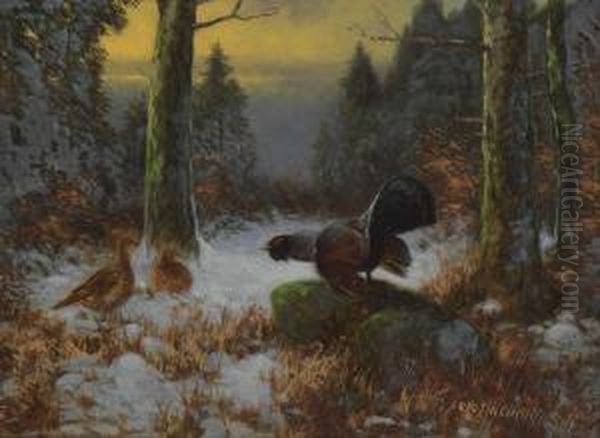 Balzender Auerhahn Im Winterwald Oil Painting by Otto Scheuerer