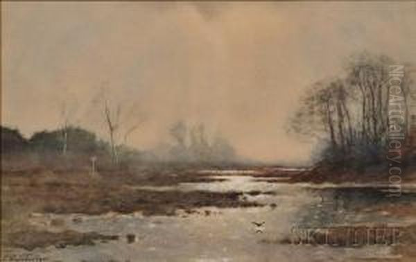 View Of Marsh In Mist Oil Painting by Petrus Paulus Schiedges