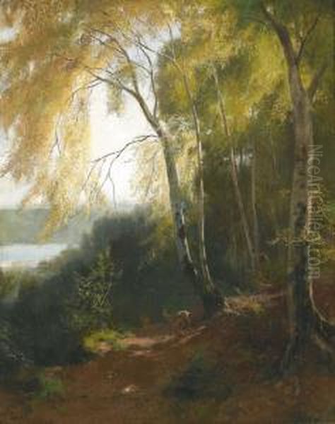 Sonnige Waldlandschaft Mit Reh Oil Painting by Traugott Schiess