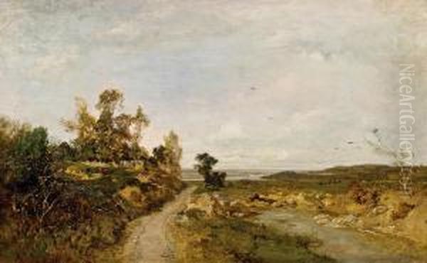 Herbstlandschaft An Der Donau Oil Painting by Emil Jakob Schindler