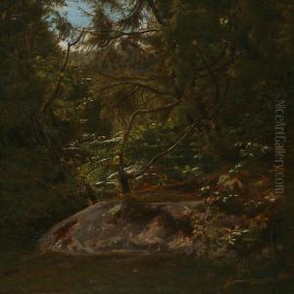 Forest Scene Frombornholm Island, Denmark Oil Painting by August Heinrich Schiott