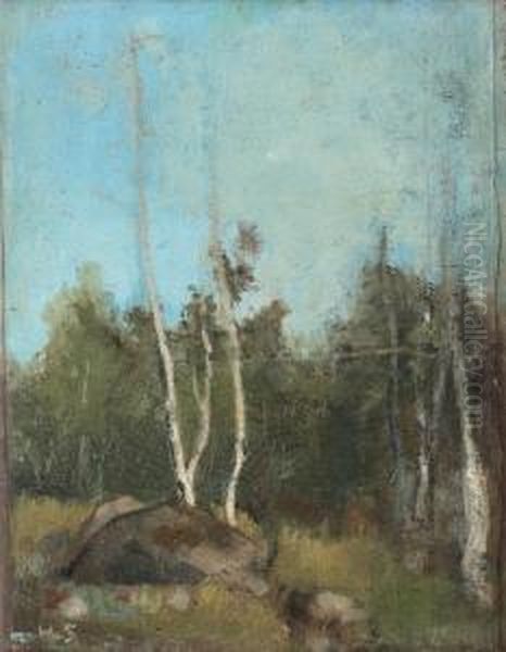 Landskap Med Bjorkar Oil Painting by Helene Schjerfbeck