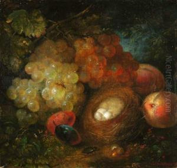 Waldbodenstilleben Mit Fruchten Und Vogelnest Oil Painting by Johann Schlesinger