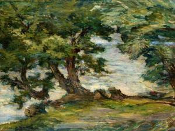 Arbres En Bord De Riviere Oil Painting by Willy Schlobach