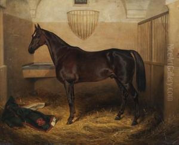 Portrait Du Cheval Philips Oil Painting by Theodor Schloepke