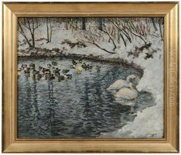 Ducks And Swans On Pond, Winter Oil Painting by Peter Schmauss