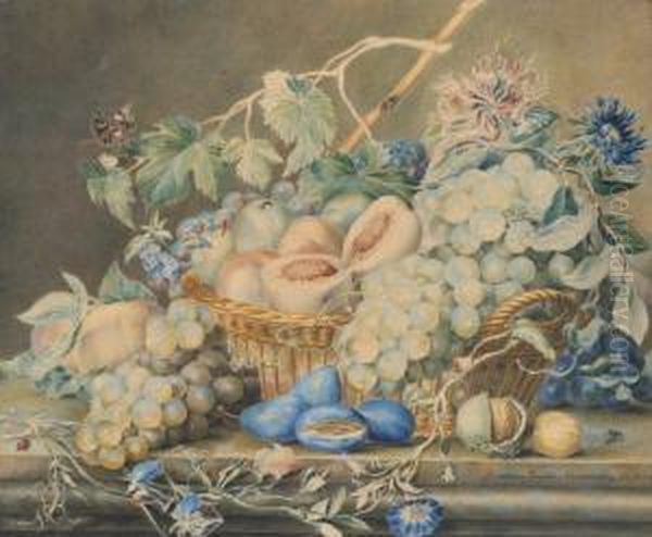 Stilleven Met Bloemen En Insekten Oil Painting by Christiana Josepha Schmetterling