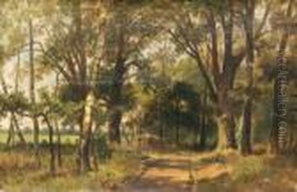 Sonnenbeschienener Waldweg Oil Painting by Hermann Schmidt