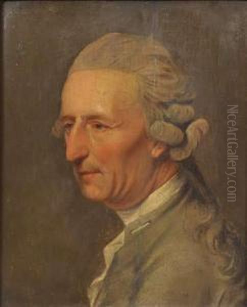 Portrait De Gentilhomme Oil Painting by Johann Heinrich Schmidt