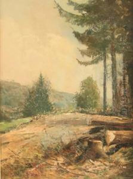 Waldrand Mit Nadelbaumen Und Schnittholz Oil Painting by Hermann Schmidtmann