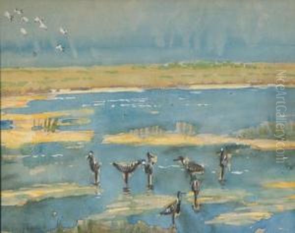 Shorebirds Oil Painting by Arthur Schneider