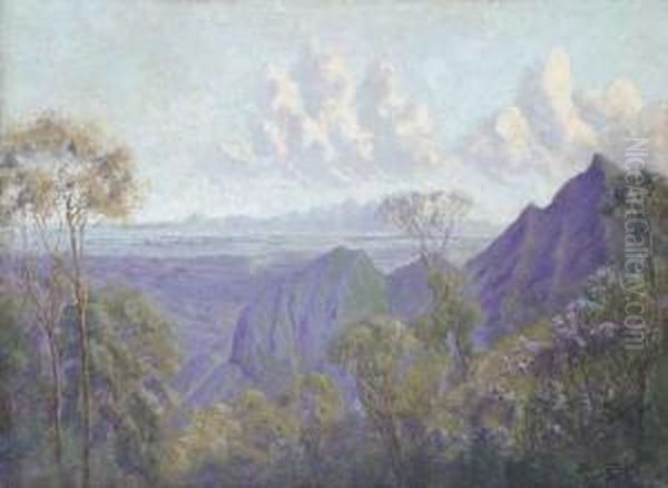 The Bay Of Rio De Janeiro From The Road To Petropolis by Pablo Schouboe