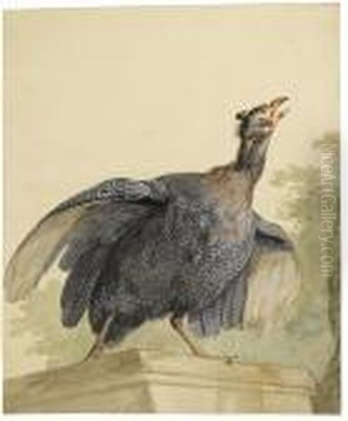 A Guinea Fowl On A Ledge Oil Painting by Aert Schouman