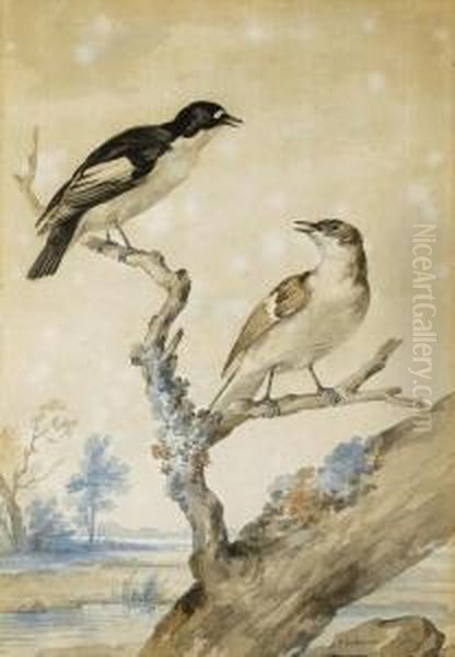 A Pair Of Pied Flycatchers Oil Painting by Aert Schouman