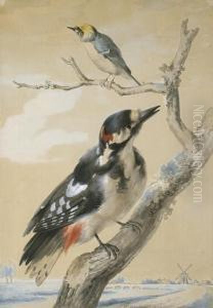 A Great Spotted Woodpecker And Another Small Bird Oil Painting by Aert Schouman