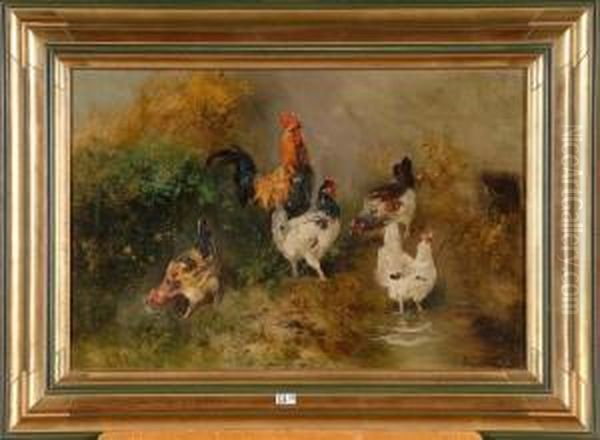 Coq Et Poules Oil Painting by Henry Schouten