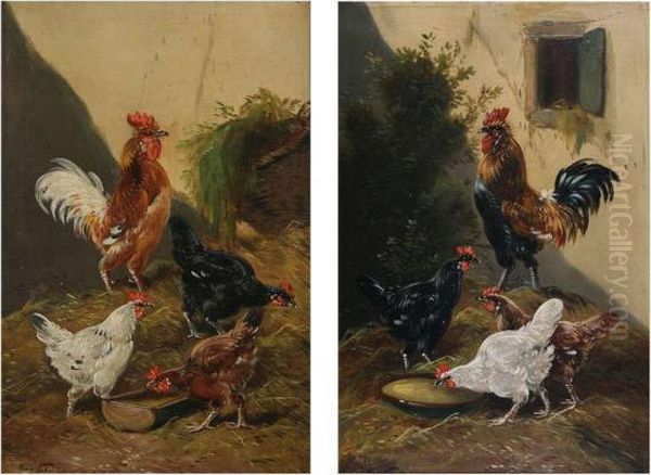 Haan En Kippen Op Het Erf Oil Painting by Henry Schouten