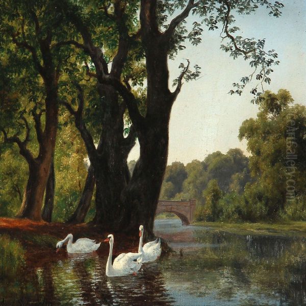 Summer Day With Swans At A Stream Shore Oil Painting by Axel Thorsen Schovelin