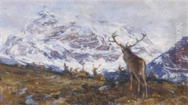 Herd Of Red Deer In The High Mountains Oil Painting by Rudolf Schramm-Zittau