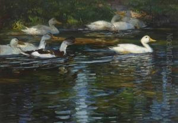 Enten Im Wasser. Oil Painting by Rudolf Schramm-Zittau