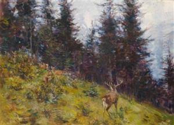 Rotwild Am Waldrand Oil Painting by Rudolf Schramm-Zittau