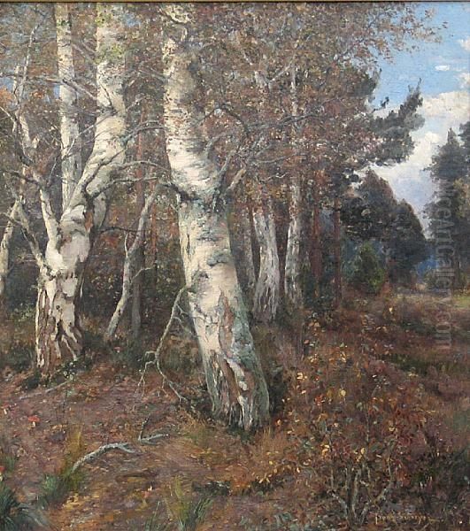 Birch Trees In An Autumn Wood Oil Painting by Franz Schreyer