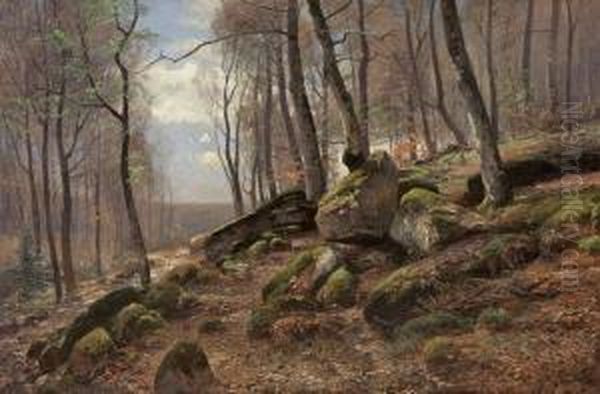 Waldinneres Mit Bemoostenfelsen Oil Painting by Wilhelm Schroeter