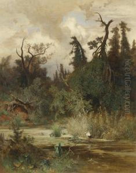 Summer In The Woodlands Of The Au Oil Painting by Hans Schuhly