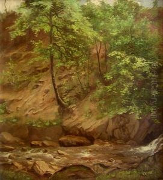 Bach Am Fuss Eines Bewaldeten Abhangs Oil Painting by Albert Schumann