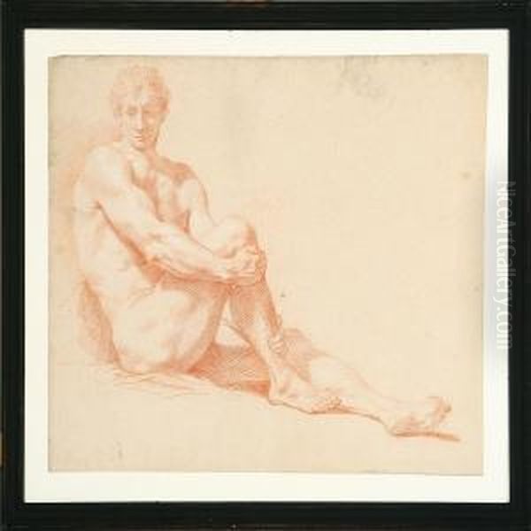 A Collection Of Nine Academy Drawings Of Male Nudes Oil Painting by Johan Martin Schuster