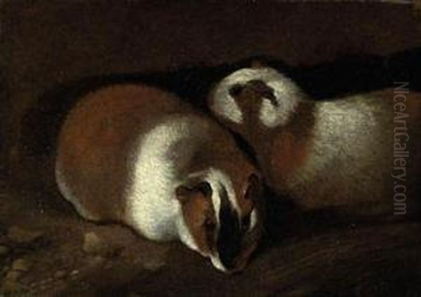 Two Guinea Pigs Oil Painting by Sinibaldo Scorza