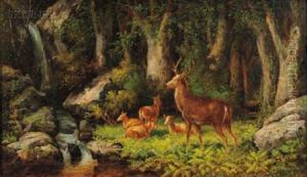 Deer In A Woodland View Oil Painting by John White Allen Scott