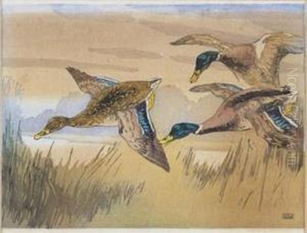 Flying Ducks Oil Painting by Allen William Seaby