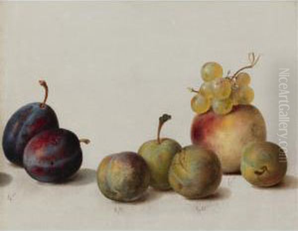 Still Life: Plums, Peach And Grapes Oil Painting by Helen R. Searle