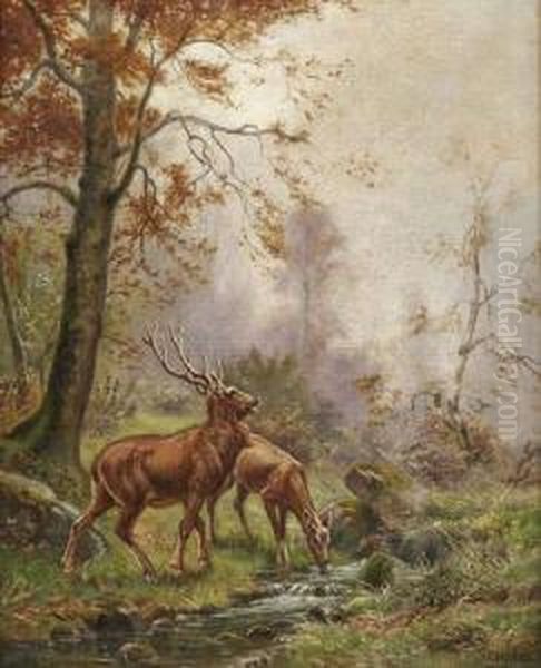 Cerfs Et Biches Pres Du Torrent Oil Painting by Claudius Seignol