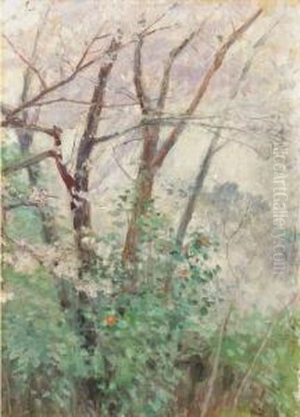 Yamazakura (wild Cherry Tree) Oil Painting by Kuroda Seiki