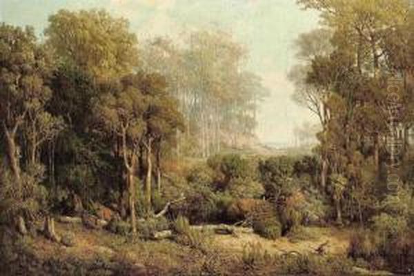 Australischer Wald Oil Painting by Josef Selleny