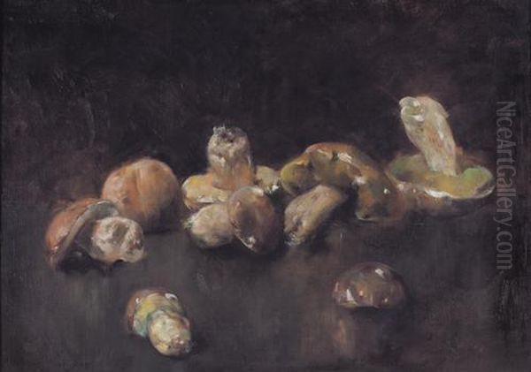 Natura Morta Di Funghi Oil Painting by Luigi Serralunga