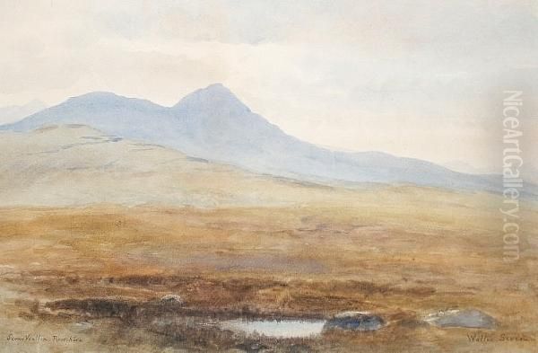 Scour Voullin, Rossshire Oil Painting by Walter Severn