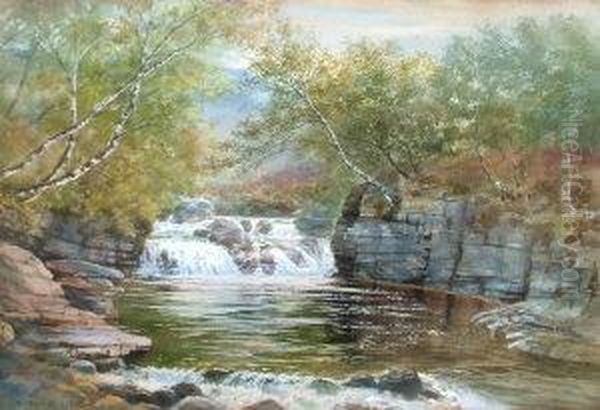 Waterfall In Woodland Oil Painting by Walter Severn