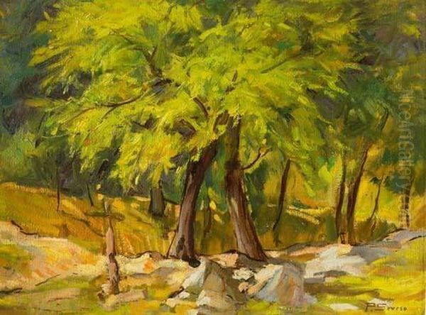 Bosco A Caglio, Como Oil Painting by Pompilio Seveso